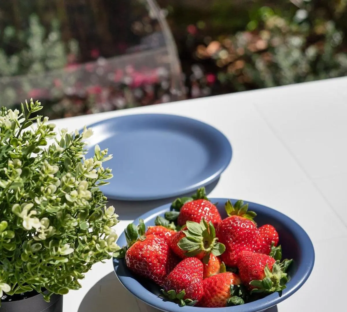 Clima-Netflix-Wifi-Garage - Garden Suite Rome Apartment